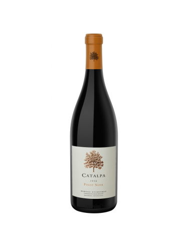 Vino Pinot Noir Catalpa 750 Ml.