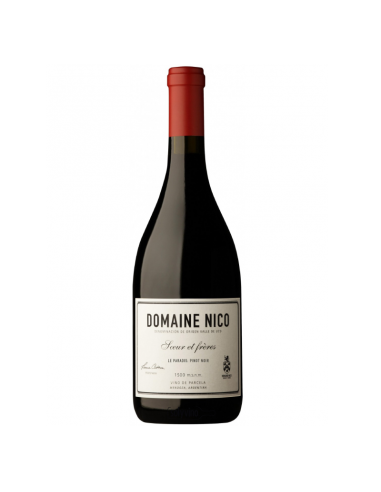 Vino Pinot Noir Domaine Nico Le...