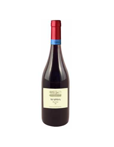 Wapisa - Pinot Noir - 750 Ml.