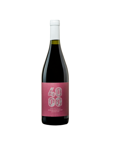 Vino Pinot Noir Budeguer 4000 Reserva...